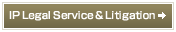 IP Legal Service & Litigation
