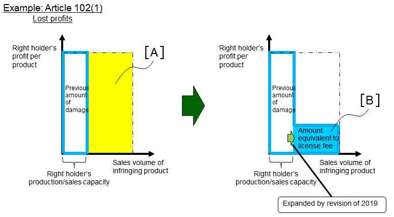 Full Enforcement of the Revised Patent Act