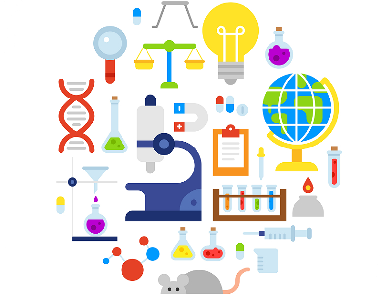 Key Points to be Noted in Order to Obtain a Decision that Acknowledges Compliance with Support Requirement in Patent Applications Filed through Model Experiments